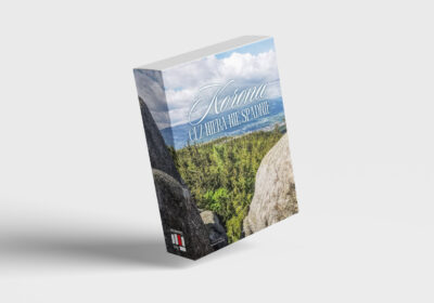 E-Book Korona Ci z nieba nie spadnie